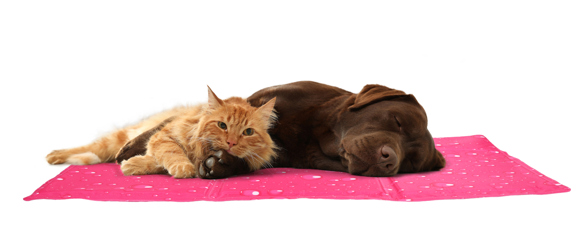 Flamingo Cooling pad Fresk Drop Rectangle Fuchsia