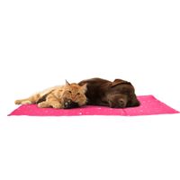 Flamingo Koelmat Drop Rechthoekig Fuchsia