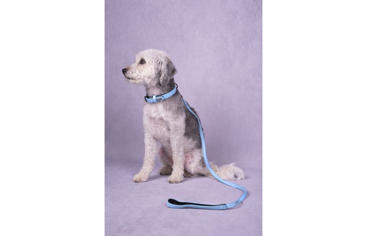 Flamingo Looplijn met neopreen Leza Blauw