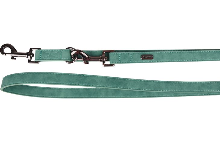 Flamingo Training leash Delu Green