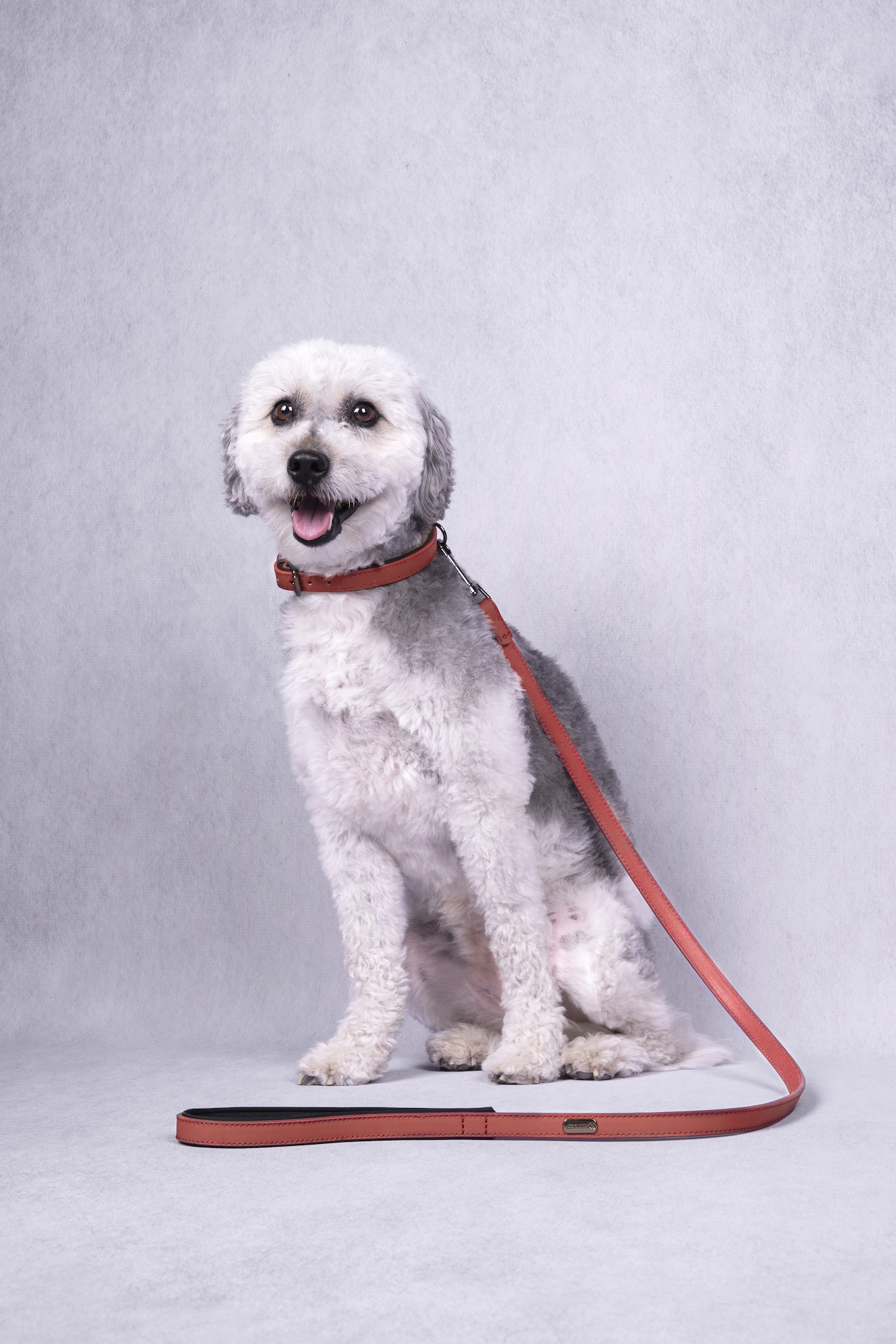 Flamingo Leash With neoprene Binti Red