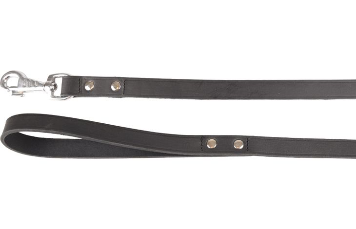 Flamingo Laisse Seattle Noir