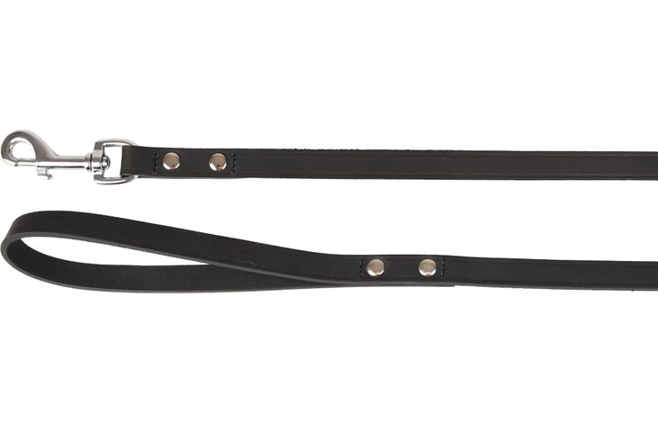 Flamingo Laisse Seattle Noir