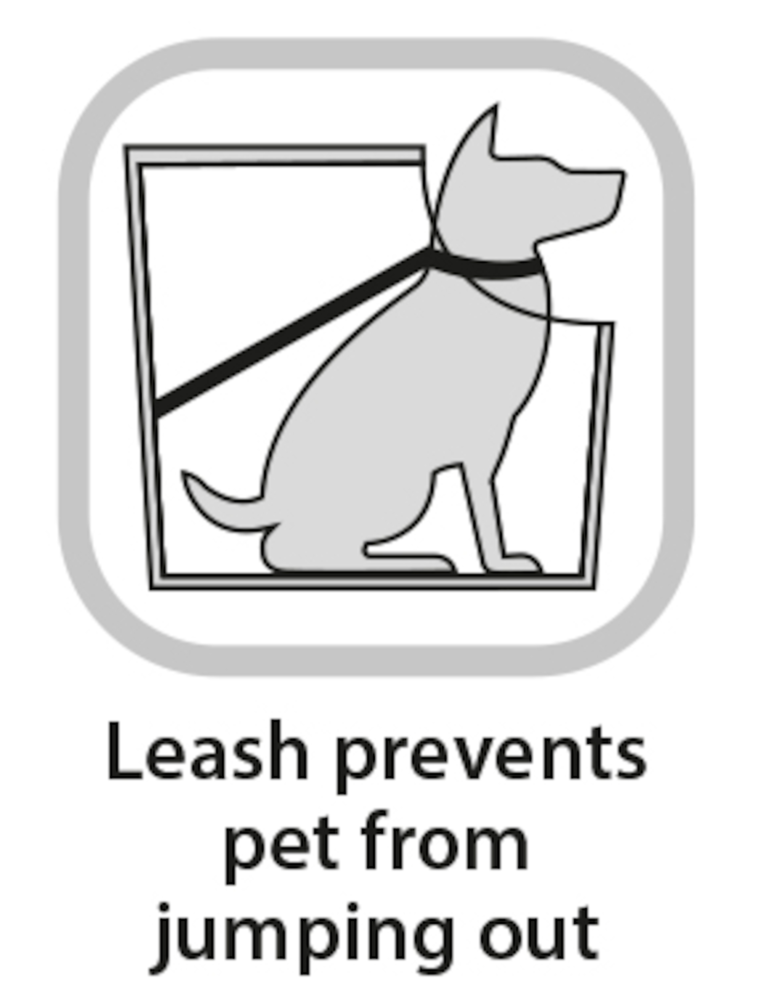 Flamingo Front carrier Yumpa Blue