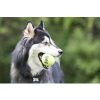 Kong® Kong® Jouet SqueakAir® Balle Jaune