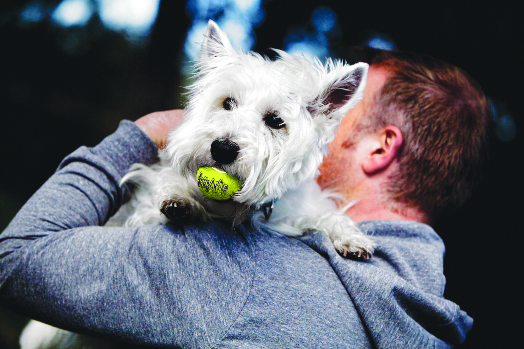 Kong® Kong® Jouet SqueakAir® Balle Jaune