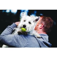 Kong® Kong® Speelgoed SqueakAir® Bal Geel