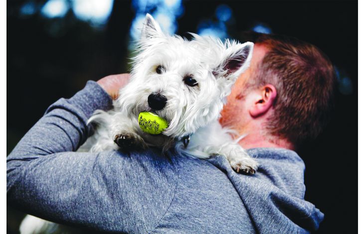 Kong® Kong® Speelgoed SqueakAir® Bal Geel