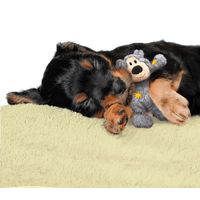 Kong® Kong® Speelgoed Knots Wild Beer met touw Meerdere kleuren