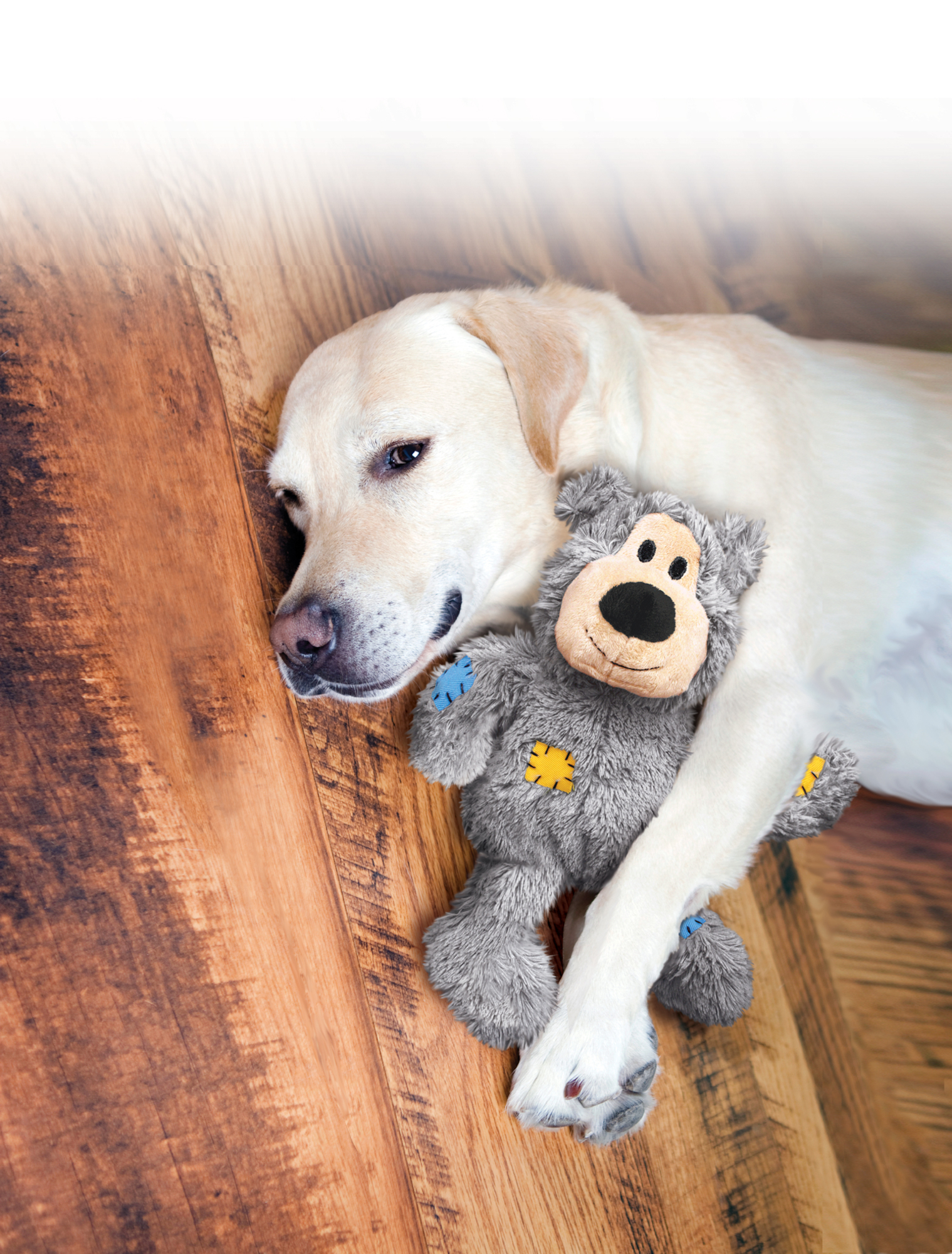 Kong® Kong® Toy Knots Wild Bear with rope Multiple colours