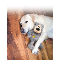 Kong® Kong® Speelgoed Knots Wild Beer met touw Meerdere kleuren
