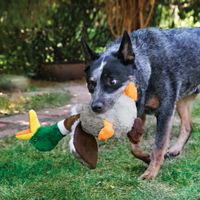 Kong® Kong® Toy Shakers™ Honkers Duck Mix