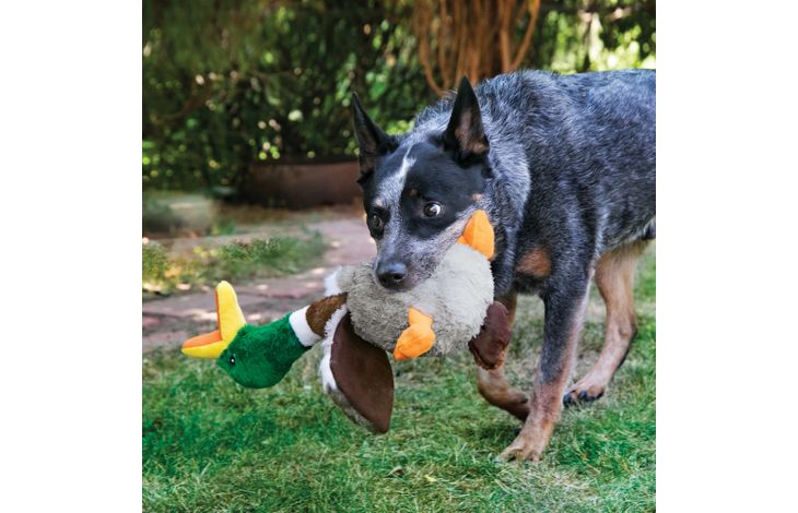 Kong® Kong® Toy Shakers™ Honkers Mix Duck