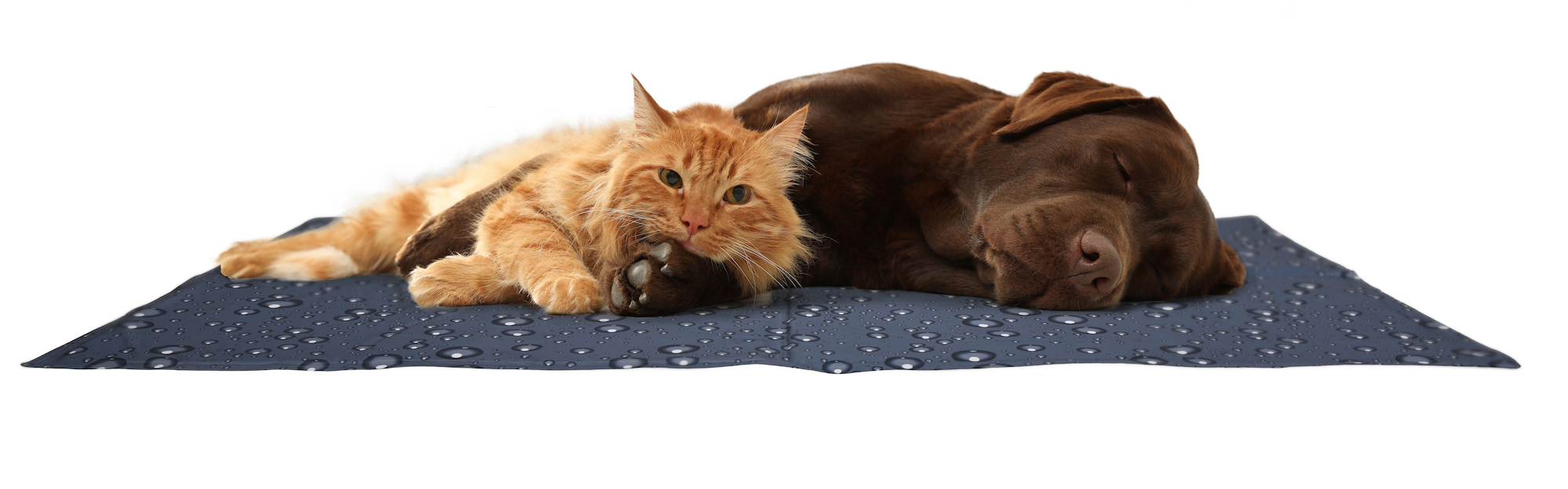 Flamingo Cooling pad Drop Rectangle Grey