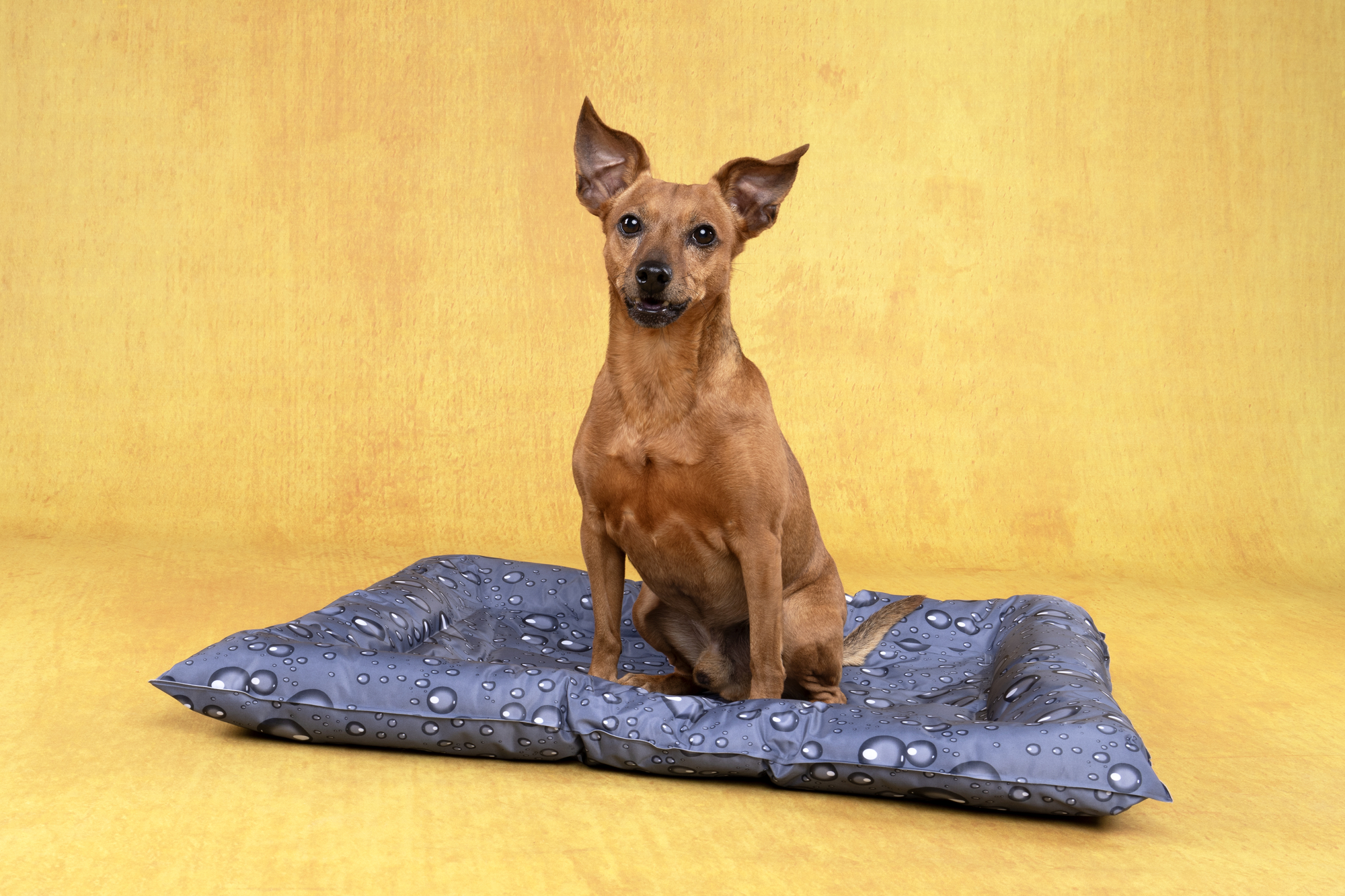 Flamingo Cooling bed Drop Rectangle Grey