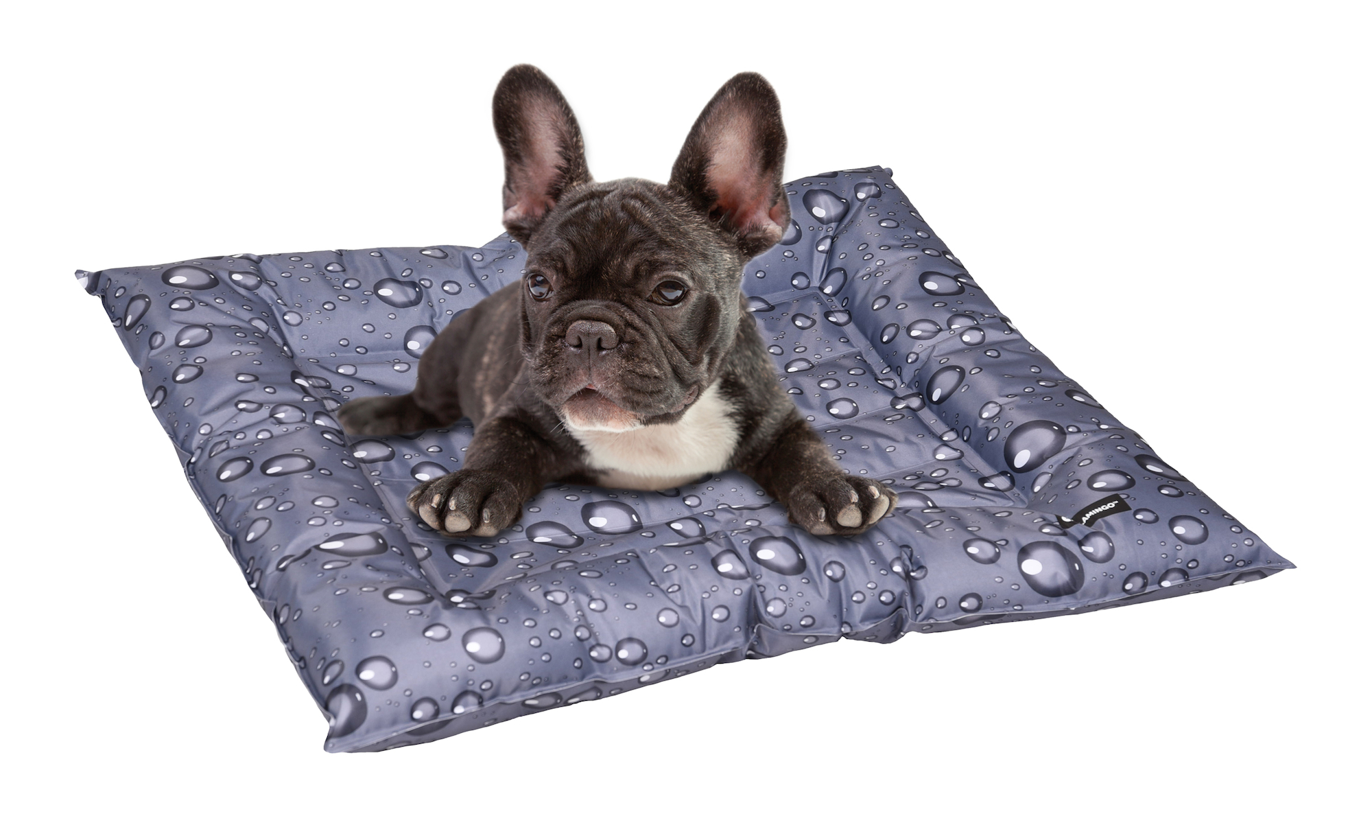 ラグ・カーペット sinoon samoyed freckle Francfranc fekete Cooling bed Fresk Drop Rectangle Grey | 520539 | Flamingo