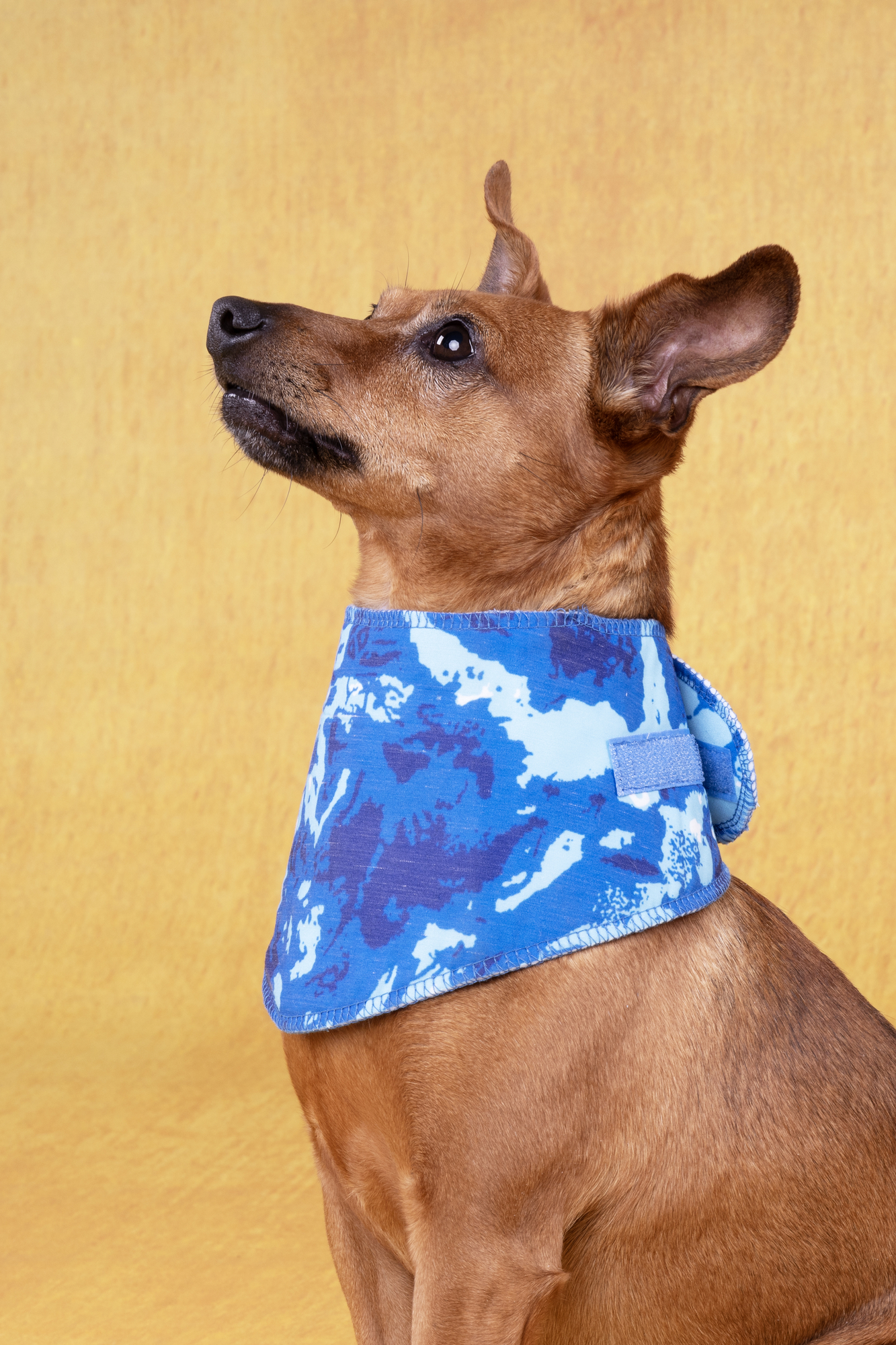 Flamingo Cooling bandana Fresk Vrio Blue