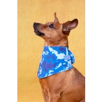 Flamingo Koelbandana Fresk Vrio Blauw