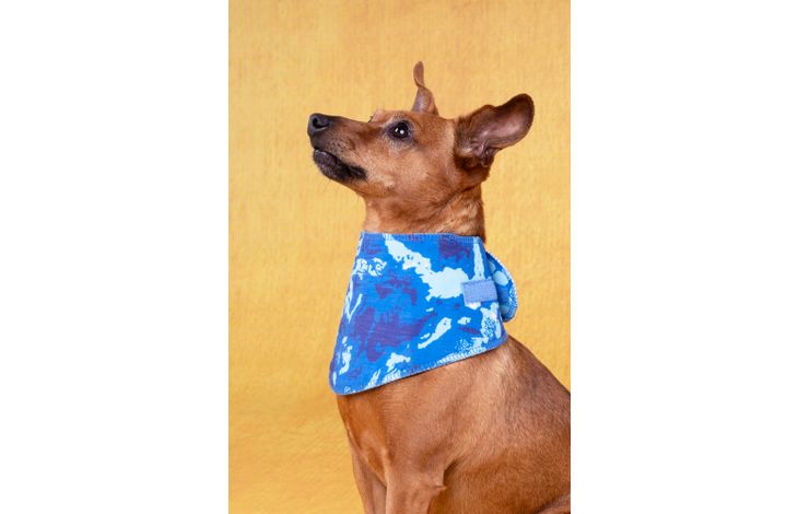 Flamingo Koelbandana Fresk Vrio Blauw
