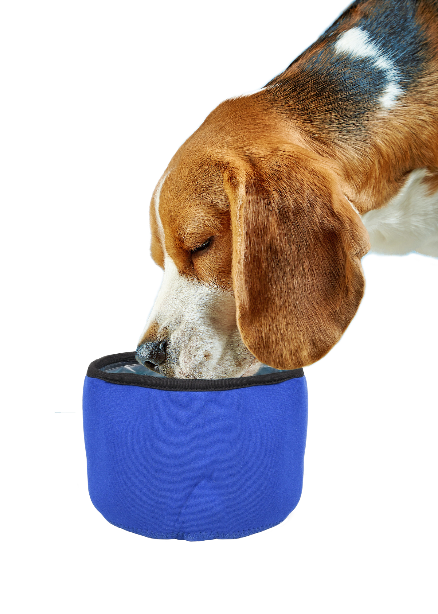Flamingo Drinking bowl Fresk Round Blue