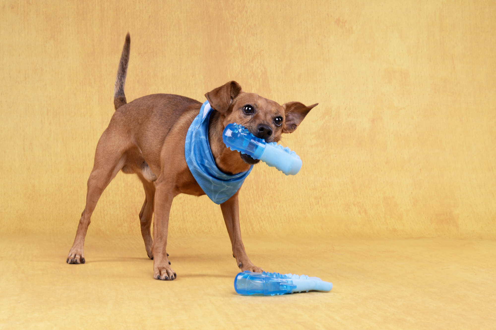 Flamingo Toy Snowy Bone Blue