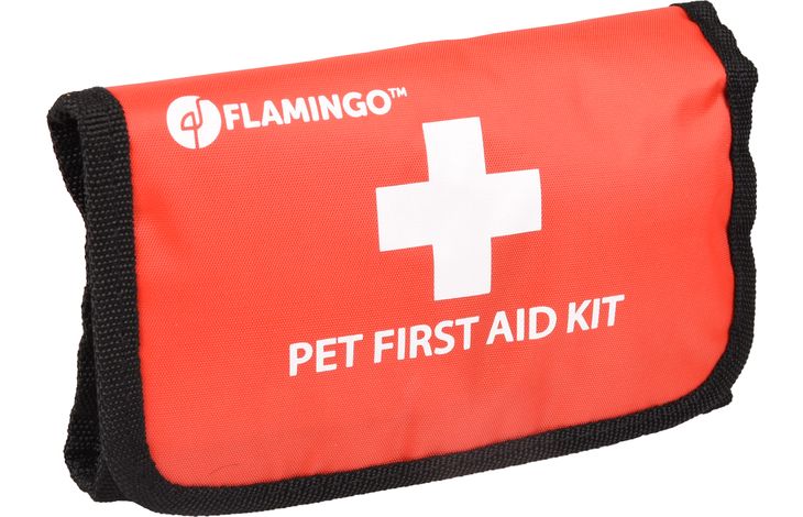 krom buik Hijgend EHBO-kit Resku Basis | 520582 | Flamingo Pet Products