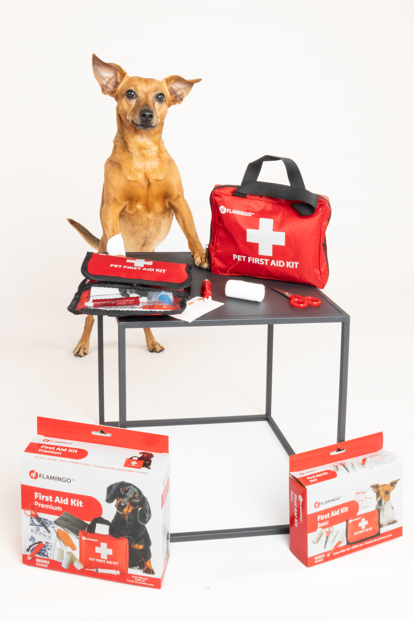 Flamingo First aid kit Resku Basic