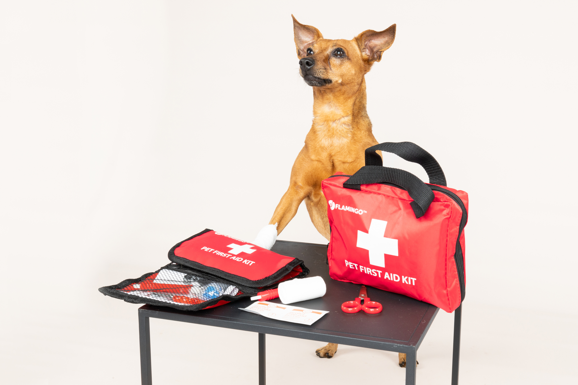 Flamingo First aid kit Resku Premium