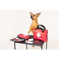Flamingo EHBO-kit Resku Premium