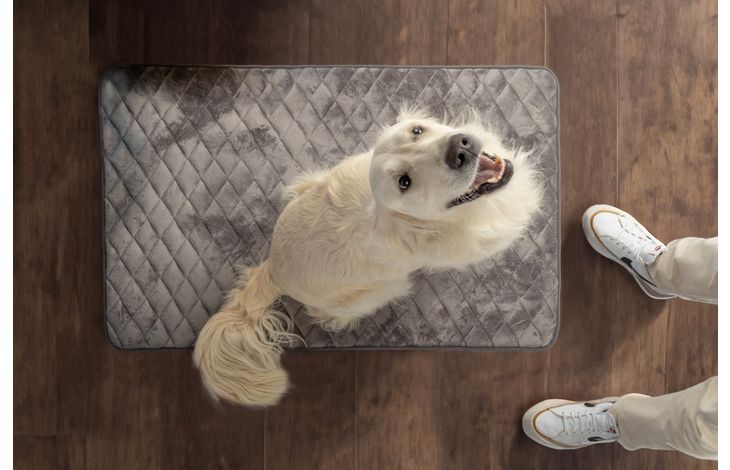 Flamingo Cushion Weimar Rectangle Grey