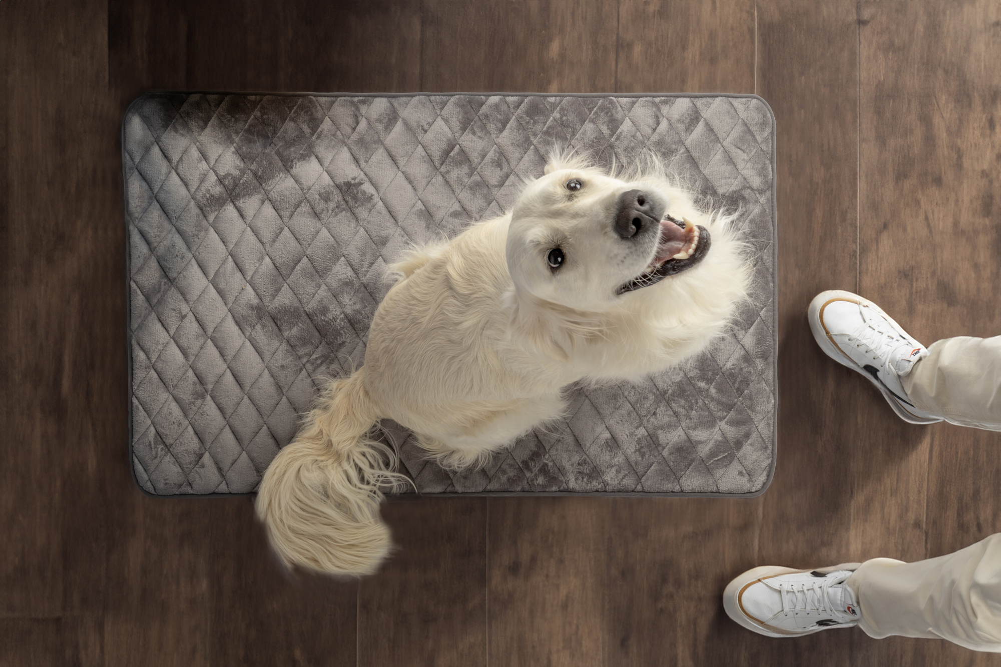 Flamingo Cuscino Weimar Rettangolo Grigio