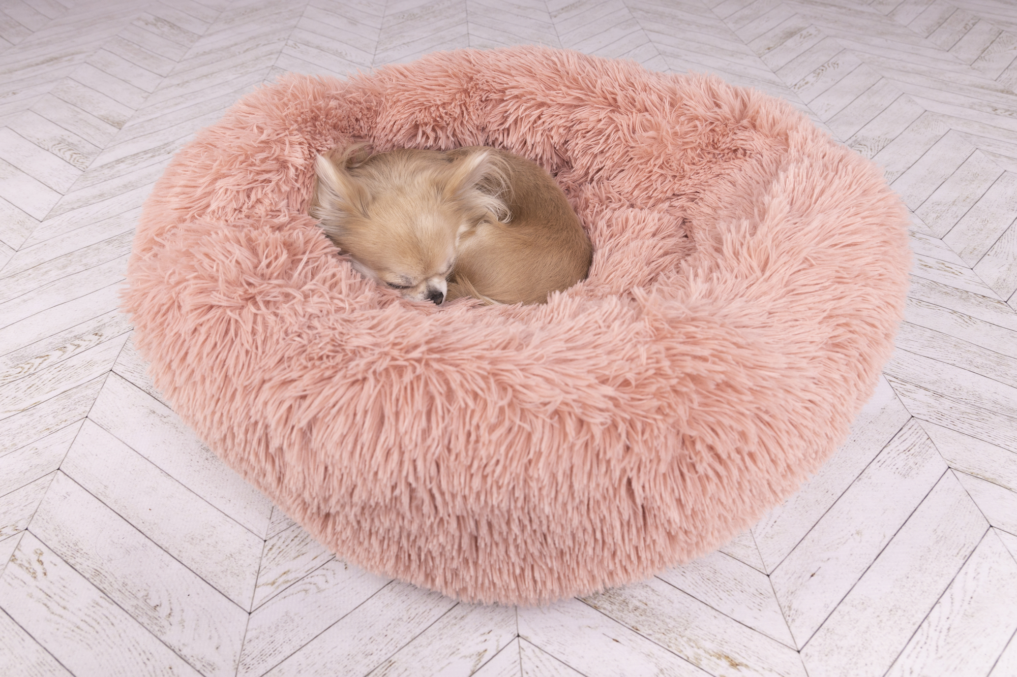 Flamingo Mand Krems Rond Oudroze