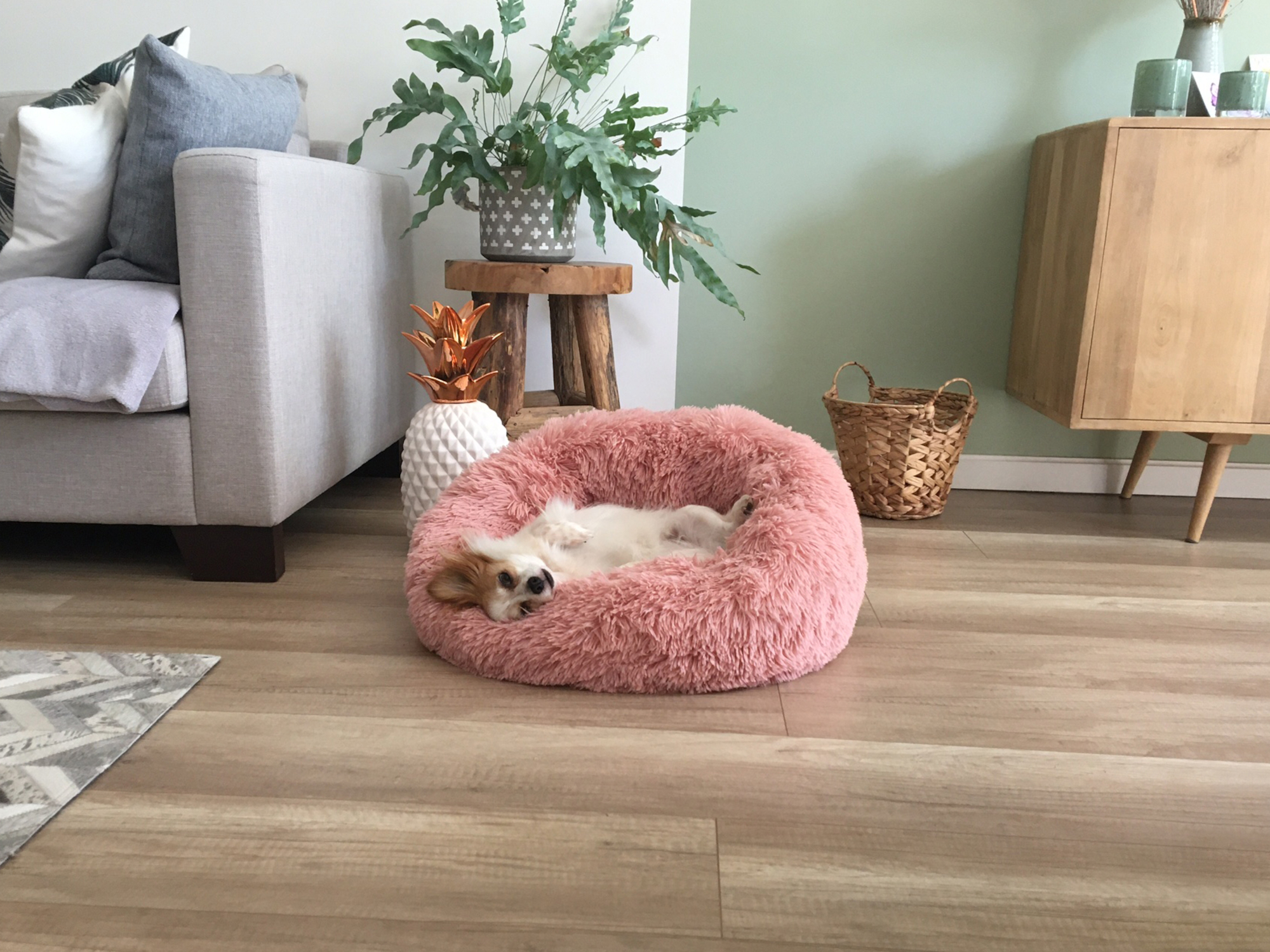 Flamingo Mand Krems Rond Oudroze