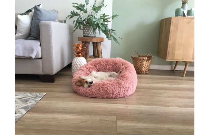 Flamingo Mand Krems Rond Oudroze