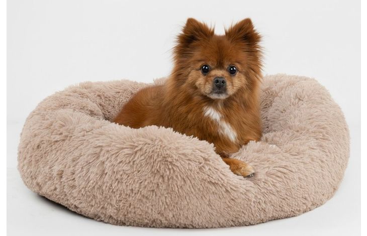 Flamingo Mand Krems Rond Beige