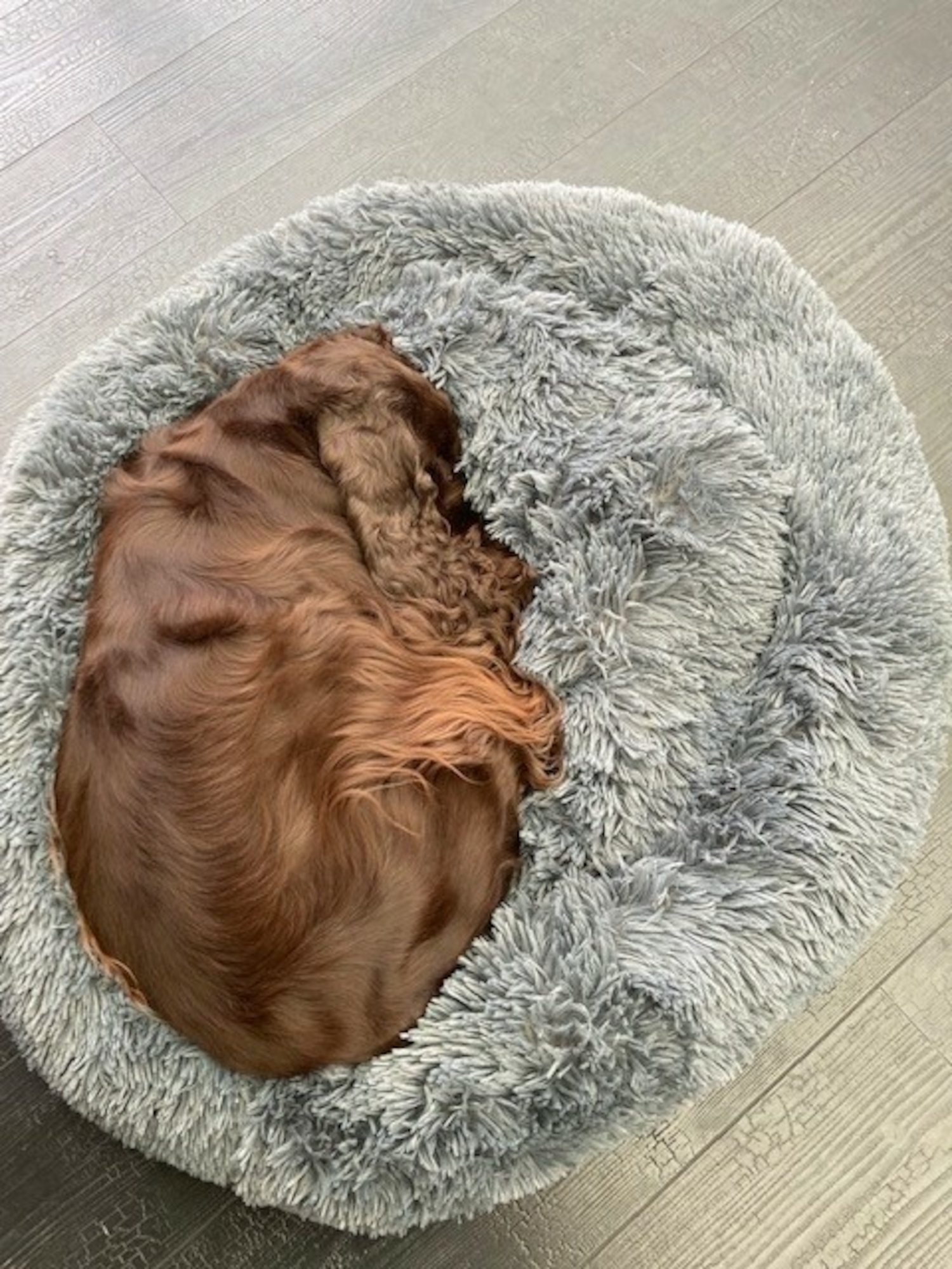 Flamingo Basket Krems Round Light grey