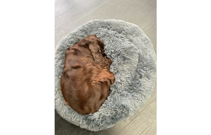 Flamingo Basket Krems Round Light grey