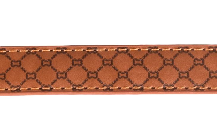 Flamingo Leash With neoprene Patti Brown