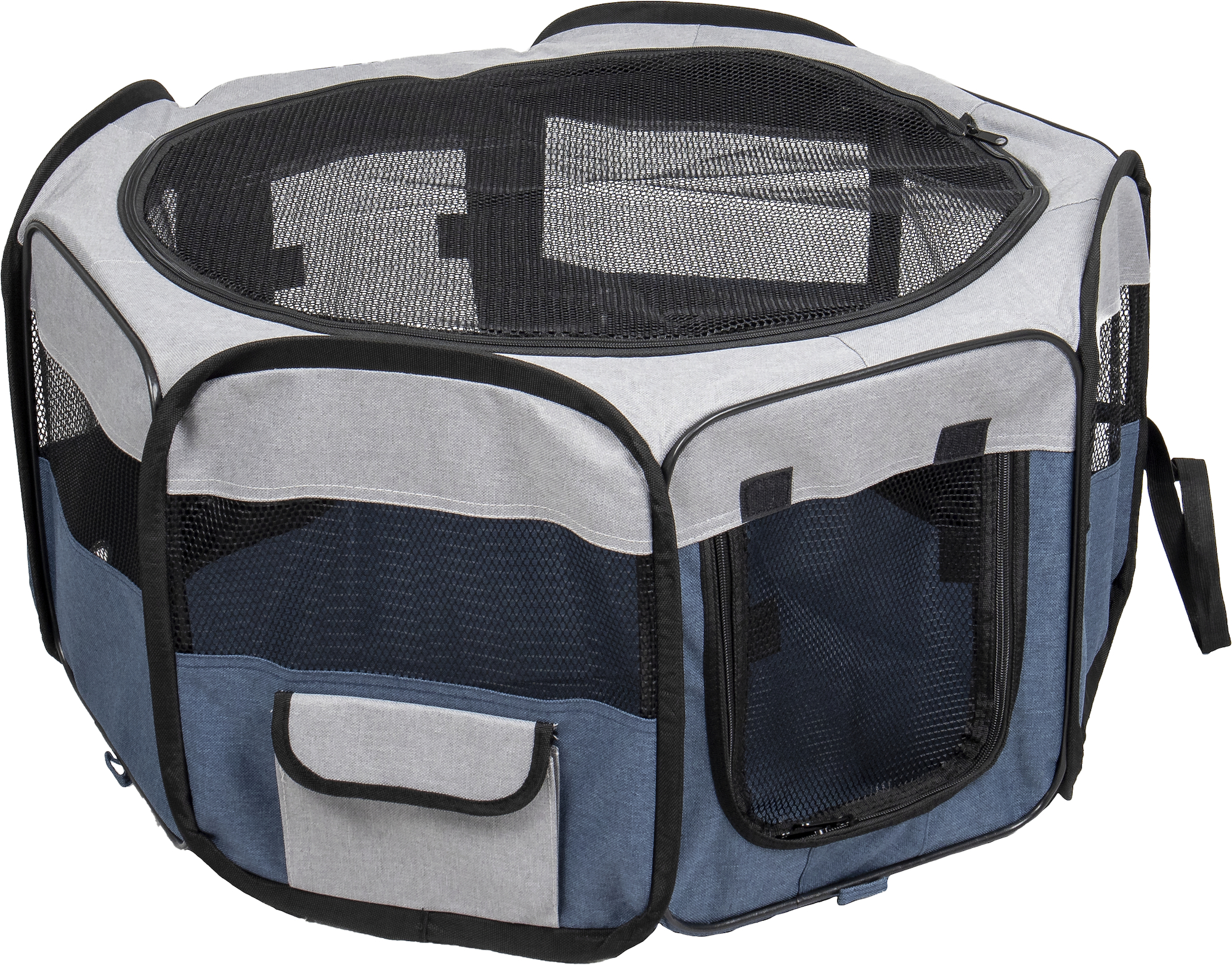 Flamingo Run Flavio Blue