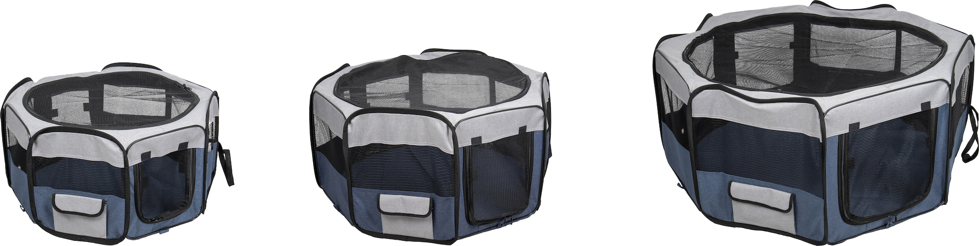 Flamingo Run Flavio Blue