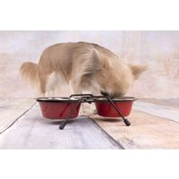 Flamingo Feeding and drinking bowl Duo dinner stand Arjun Red & Silver & Black