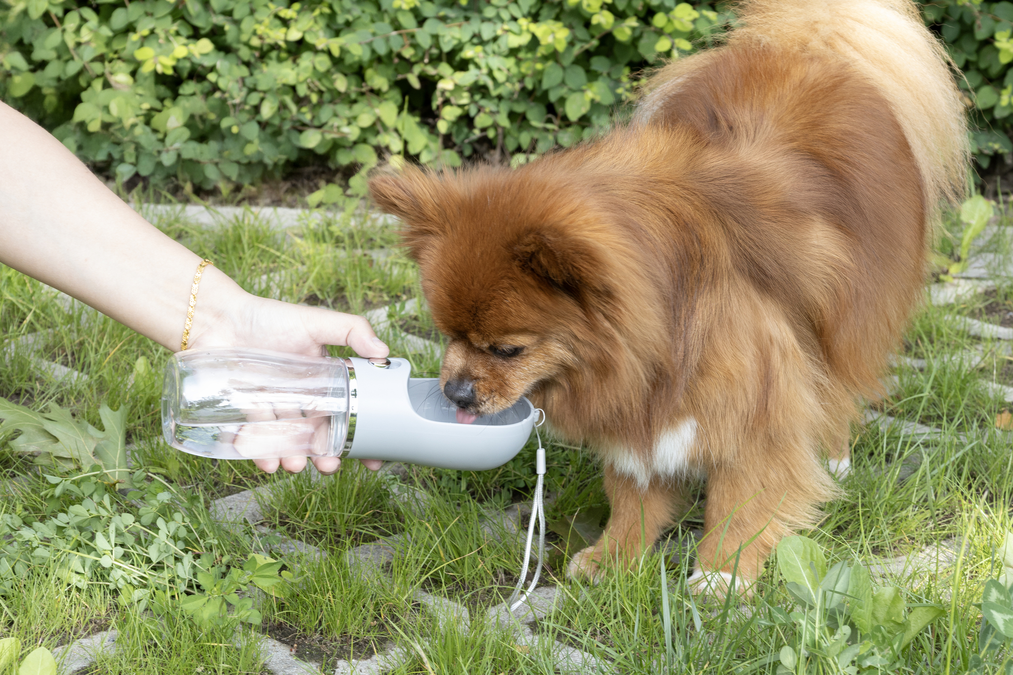 Flamingo Water dispenser Archie Round Grey
