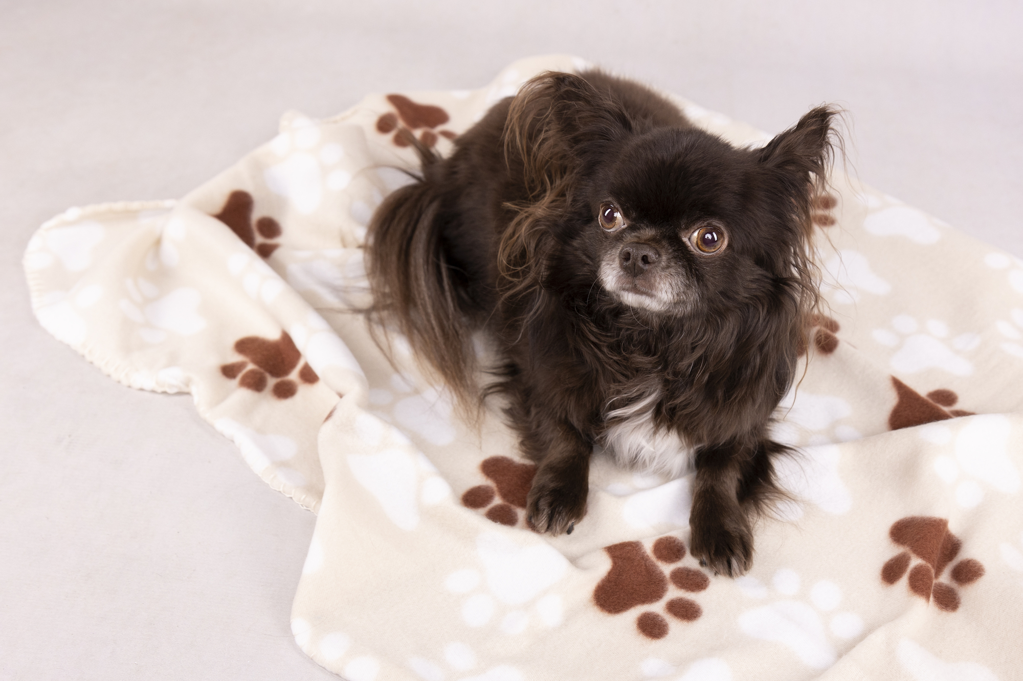 Flamingo Blanket Esma Rectangle Beige