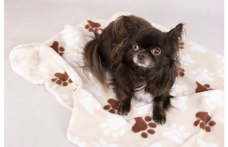 Flamingo Blanket Esma Rectangle Beige