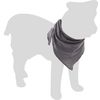 Bandana Iona Grey