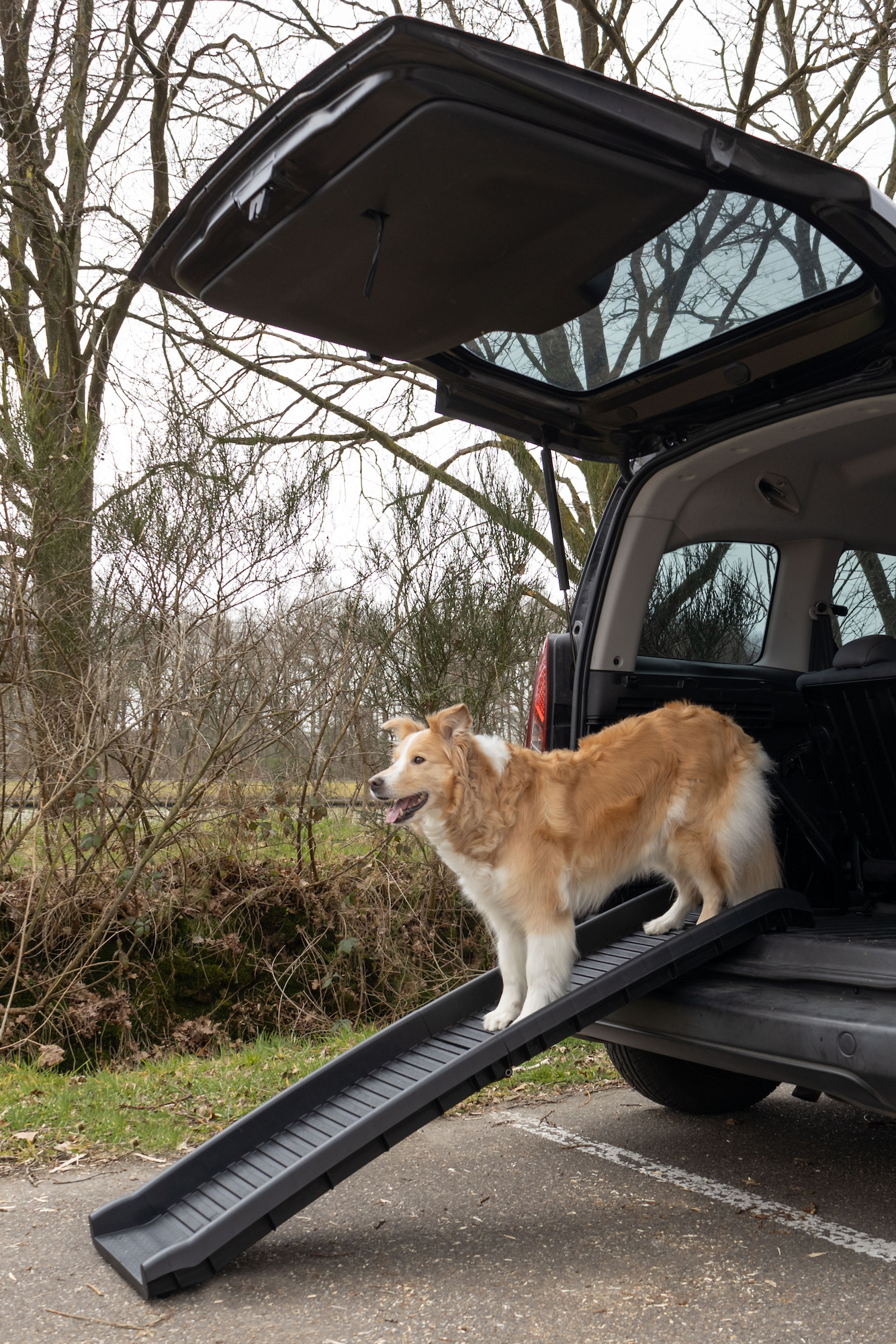 Plastic dog outlet ramp