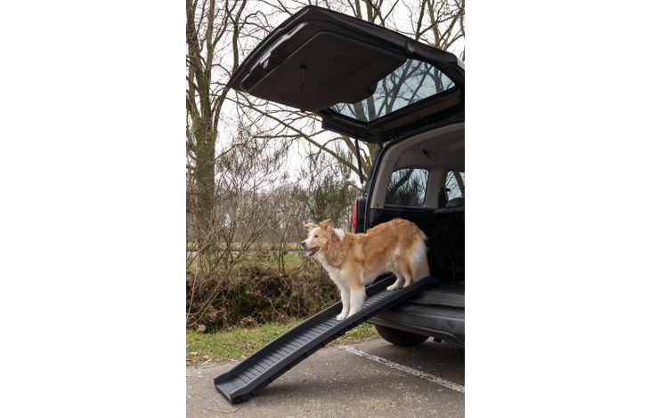 Flamingo Dog ramp Zenna Black