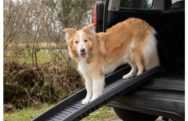 Flamingo Dog ramp Zenna Black