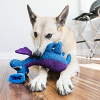 Kong® Kong® Speelgoed Woozles Alien Blauw & Paars