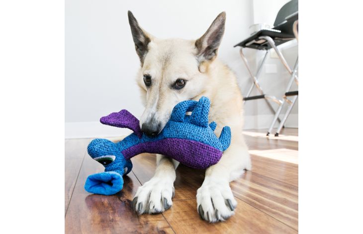 Kong® Kong® Speelgoed Woozles Alien Blauw & Paars